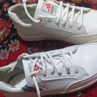 کفش مردانه|کیف، کفش، کمربند|شیراز, اصلاح‌نژاد|دیوار