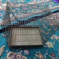 قفس سهره وقناری