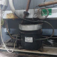 یخچال فریزر|یخچال و فریزر|یزد, |دیوار