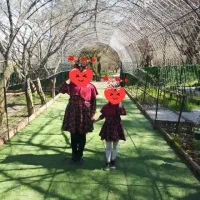 لباس یلدایی