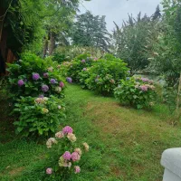 پرستار کودک