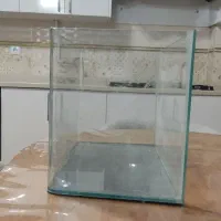 اکواریوم با ماهی|ماهی|بوکان, |دیوار