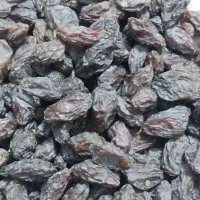 فخری درجه یک کلیویی۵۵۰هزار تومان