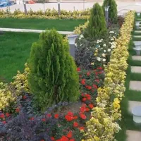 خدمات باغبانی و فضای سبز حرصکاری|خدمات باغبانی و درختکاری|اسلامشهر, باغ فیض|دیوار