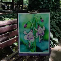 آموزش هنرهای تجسمی و مربی نقاشی کودک
