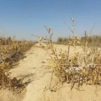 زمین زراعی|فروش دفتر صنعتی، کشاورزی، تجاری|رباطکریم, رباطکریم|دیوار