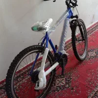 دوچرخه|دوچرخه، اسکیت، اسکوتر|شیراز, اصلاح‌نژاد|دیوار