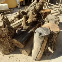 چوب درخت کنار خشک توافقی|گل و گیاه طبیعی|بهبهان, |دیوار