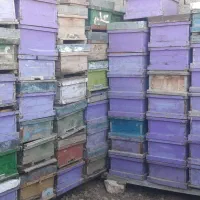 کندوی خالی زنبور عسل