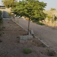 دوباغ،جهادآباد در محدوده مسکونی،واقع در طرح هادی|فروش خانه و ویلا|شاهین‌شهر, برخوار غرب|دیوار