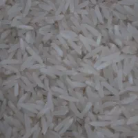 برنج فجرسوزنی