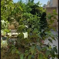 رهن و اجاره ویلایی محله فاز ۱|اجارهٔ خانه و ویلا|فولادشهر, A1|دیوار