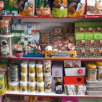 پت شاپ ملزومات حیوانات خانگی|لوازم جانبی حیوانات|اراک, |دیوار