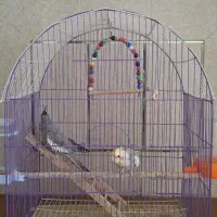 فروش دو عدد عروس هندی به همراه قفس