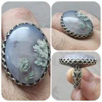 شجر با سنگ های معدنی -رکاب ورشو (نقره نیست)