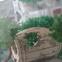 فروش آکواریوم|ماهی|شیراز, ریاستی|دیوار