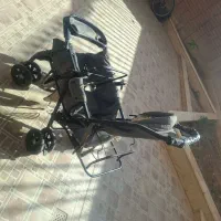 کالسکه دو قلویی