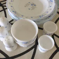 ظروف آرکوپال (لومینارک)