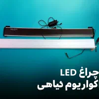 نور مخصوص پلنت