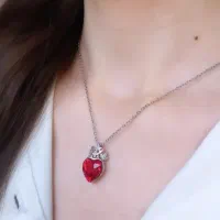 اکسسوری، بدلیجات