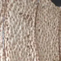 شاطر سنگک پزی هستم