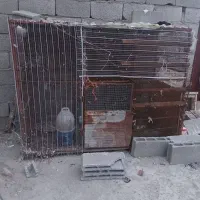 قفس کبوتر و مرغ وخروس
