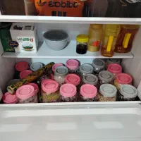 گاز|اجاق گاز و لوازم برقی پختوپز|شیراز, کوشک میدان|دیوار