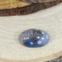 شجر قائنات