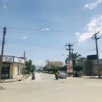 زمین-38-گزی-پشت-کادوس-سند-تک-برگ