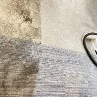 موکت شویی شستشوی مبل شویی در منزل تاتامی کف سرامیک|خدمات نظافت|تهران, ونک|دیوار