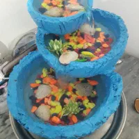 آبنما خانگی