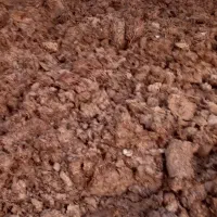 کودگاوی خشک|حراج|قزوین, |دیوار