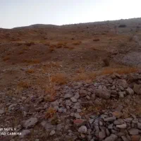 فروش معدن وبیل مکانیکی زنجیری و پیکور  وبنز کمپرسی|ماشین‌آلات صنعتی|چناران, |دیوار