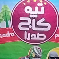 پیست کارتینگ مجموعه تپه کاج