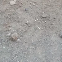 کاشی کار می‌خوایم