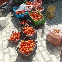 گوجه فرنگی ارگانیک|خوردنی و آشامیدنی|فرمهین, |دیوار