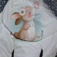 کریر و قنداق سوئیسی نوزاد|کالسکه و لوازم جانبی|تهران, وصفنارد|دیوار