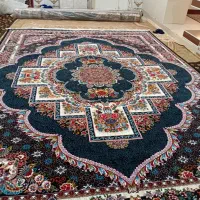 قالی|فرش|حاجی آباد, |دیوار