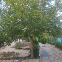 زمین-فروشی-باغ-ویلا