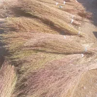 جارو نرم دسته ۳۵|لوازم نظافت|نورآباد, |دیوار