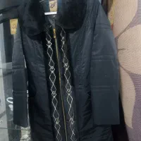 پالتونوسایز38