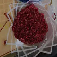 گل ربانی ارزان