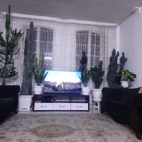 تعدادی گل وگیاه آپارتمانی بسیار زیبا