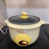 پلو پز وبخار پز مولینکس|اجاق گاز و لوازم برقی پخت‌وپز|شیراز, قدوسی غربی|دیوار