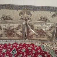 شاه نشین|پشتی|یزد, |دیوار