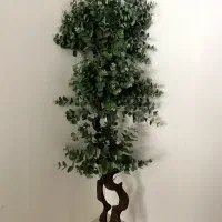 درختچه مصنوعی اکالیپتوس نقره ای