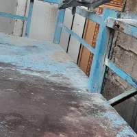 کفتر