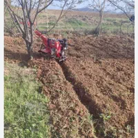 علف زنی وپاکنی باغهاوباغچها وگلخانها|خدمات باغبانی و درختکاری|صدرا-فارس, |دیوار