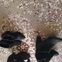 دوهفته نیم بوت یکیش آک یکیش درحد یکی دوبار