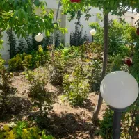 کلیه امور باغبانی با مناسب ترین قیمتها|خدمات باغبانی و درختکاری|کرج, دهقان ویلا|دیوار